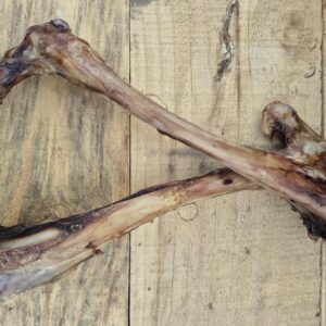 Deer Legs