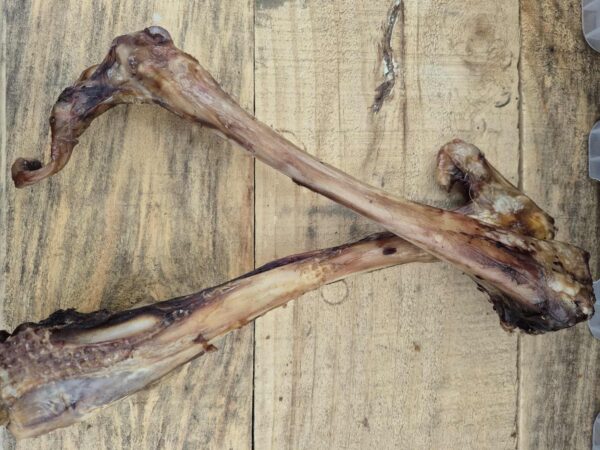 Deer Legs