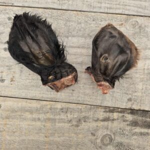 Hairy Cows Ear